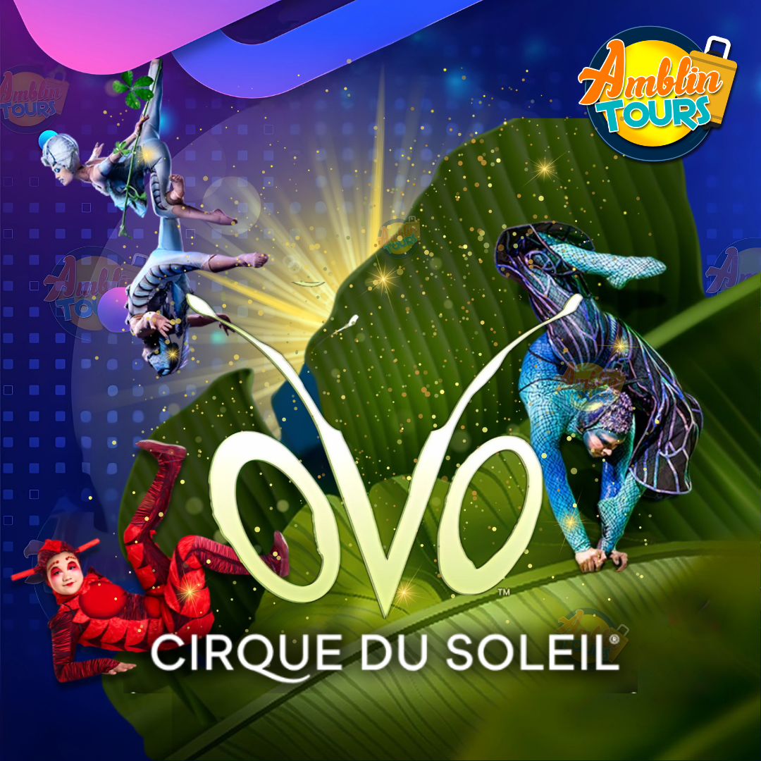 CIRQUE DU SOLEIL: OVO