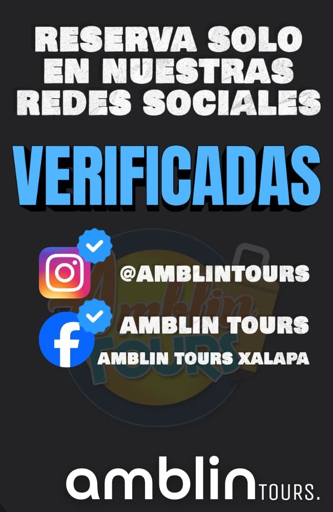 BOLETIN PAGINA WEB (1)